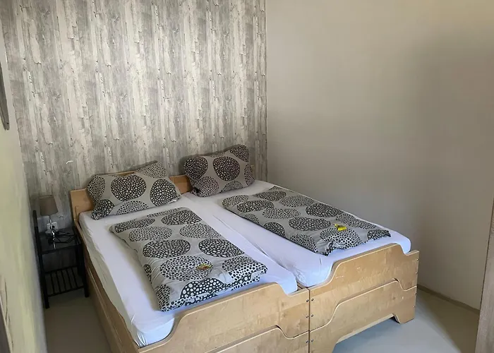 Appartement Flying-hirsch *